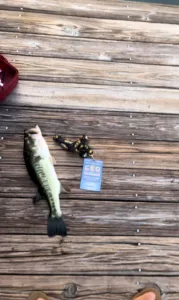 CEO 2026 Tournament Experience fishing winner