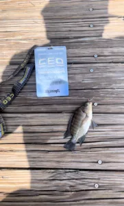 CEO 2026 Tournament Experience fishing winner