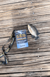 CEO 2026 Tournament Experience fishing winner