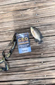 CEO 2026 Tournament Experience fishing winner