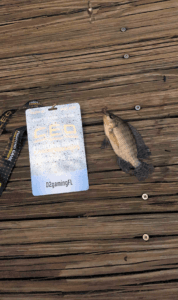 CEO 2026 Tournament Experience fishing winner