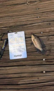 CEO 2026 Tournament Experience fishing winner